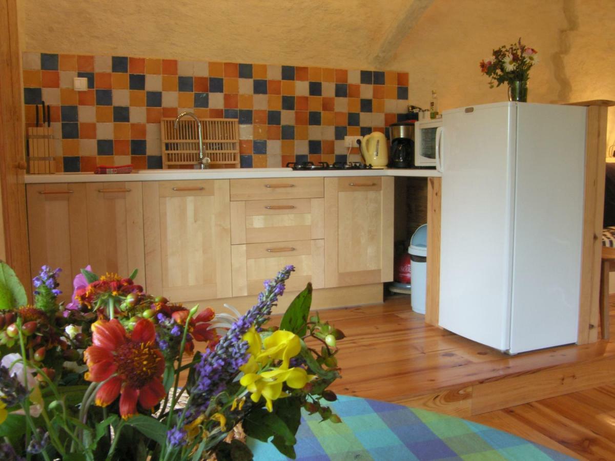 Puechblanc Gites Et Chambre D'Hote Dans Le Triangle D'Or Gaillac-Albi-Cordes Sur Ciel Fayssac Exterior foto